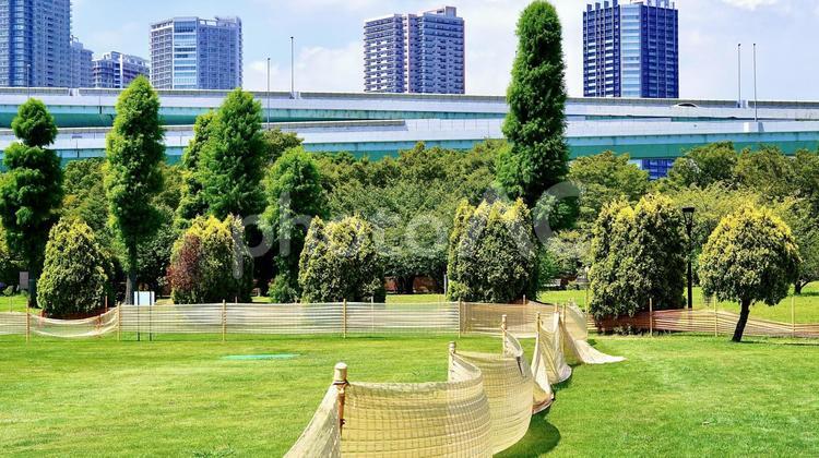 夏の晴れの日の辰巳の森海浜公園 辰巳の森海浜公園,海浜公園,屋外の写真素材