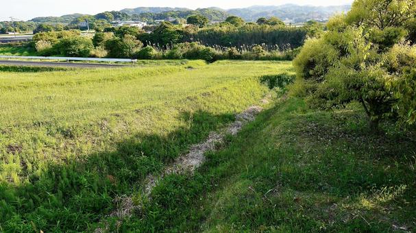 復元された弥生時代の原の辻遺跡の原っぱ 復元された弥生時代の原の辻遺跡の原っぱの写真