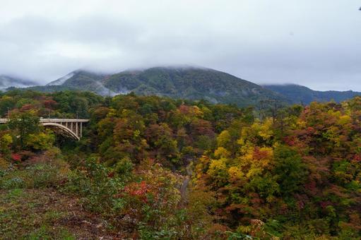 鳴子峡の紅葉 鳴子峡,紅葉,渓谷の写真素材