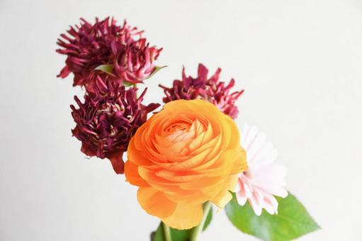 三種の花 三種の花の写真