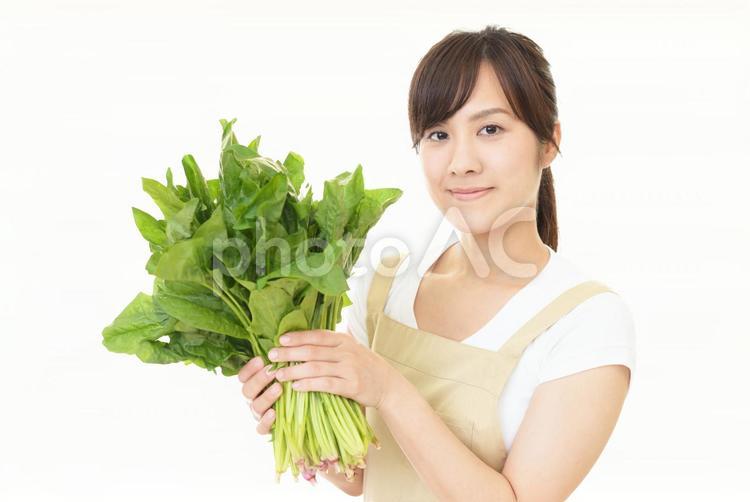 野菜を持つ笑顔の女性 女性,女,ほうれん草の写真素材