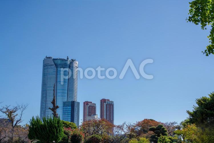 東京港区南青山2丁目から望む六本木の街並 住宅街,公園,六本木の写真素材