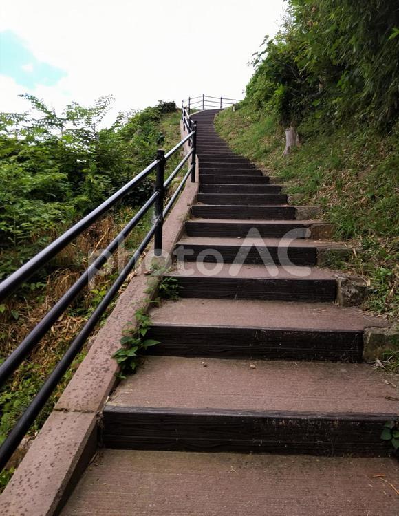 風景　キレイな階段に整備された山道 風景,山道,空の写真素材