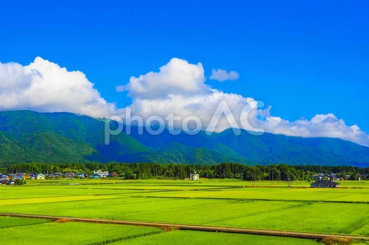 日本の田園風景と青空 田園,田園風景,田舎の写真素材