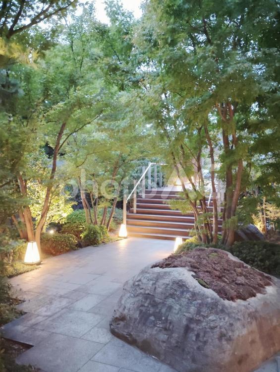 きれいな公園の夕方 公園,きれい,夕方の写真素材