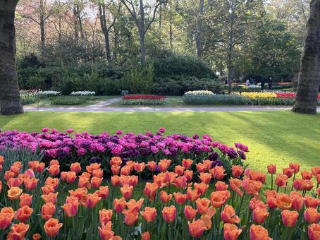 キューケンホフ公園 キューケンホフ公園の写真