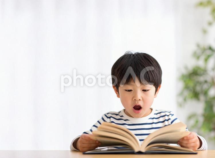 本を読むのが楽しい子供 子供,勉強,学習の写真素材