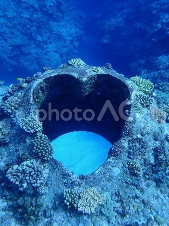 海の中のハート ハート,サンゴ,海の写真素材