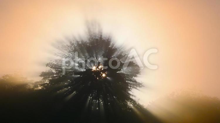 朝日が眩しい神秘的な風景 風景,朝霧,モヤの写真素材