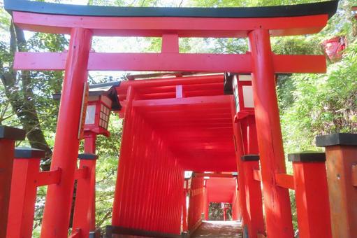 【島根県】太鼓谷稲荷神社 【島根県】太鼓谷稲荷神社 神社,稲荷神社,津和野の写真素材