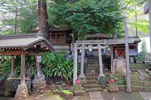 氷川町氷川神社(板橋) 氷川町氷川神社(板橋)の写真