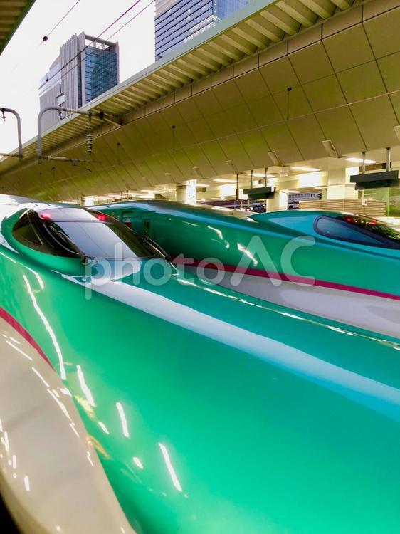 北海道新幹線　H5系車両　並列 北海道新幹線,東北新幹線,並列の写真素材