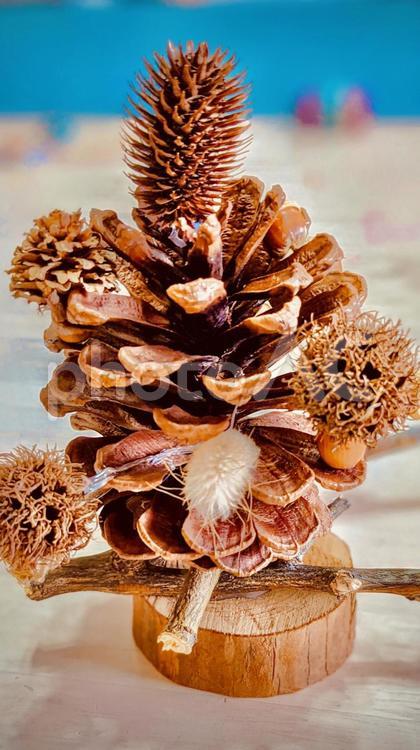 松ぼっくりで作ったオーナメント クリスマス,綺麗,きれいの写真素材