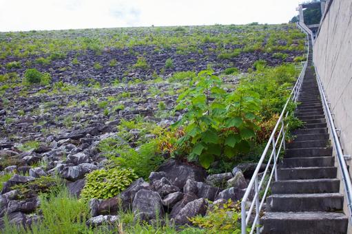 残暑の大町　高瀬川七倉ダム 信州,深緑,森の写真素材