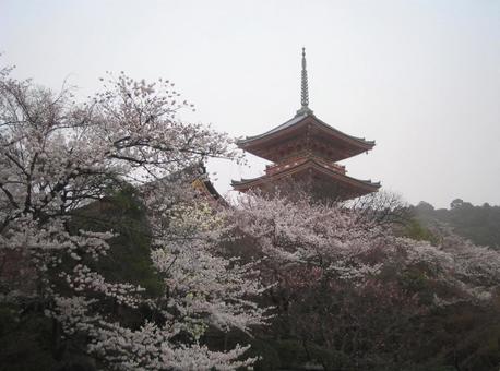 京都 京都の写真