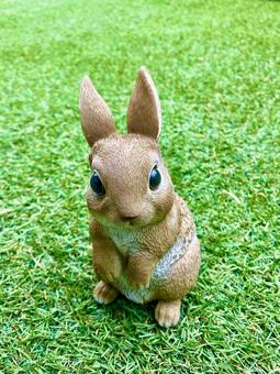 こんにちは、うさぎです。 ウサギ,うさぎ,兎の写真素材