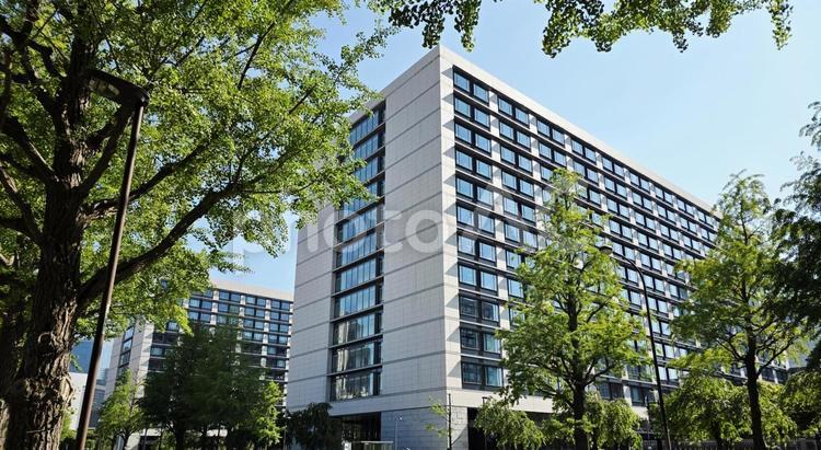 建物　議員会館 建物,国会議事堂,議員会館の写真素材