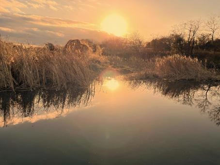 夕焼けに染まる湖と自然の風景 夕焼け,太陽,川の写真素材