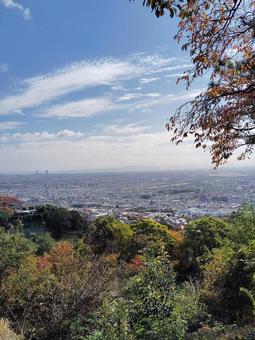 宝塚の高台より晩秋の大阪平野を一望する 風景,自然,宝塚の写真素材
