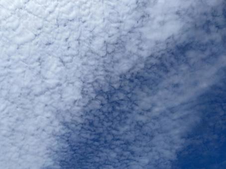 巻積雲(うろこ雲)3 巻積雲(うろこ雲)3 巻積雲,うろこ雲,いわし雲の写真素材