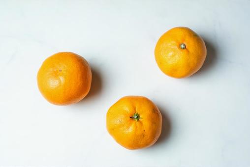白背景の3つのみかん みかん,果物,ミカンの写真素材