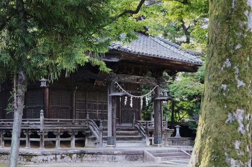 沢海日枝神社 新潟の観光スポット 沢海日枝神社 新潟の観光スポット 新潟県新潟市,タグ,沢海日枝神社の写真素材