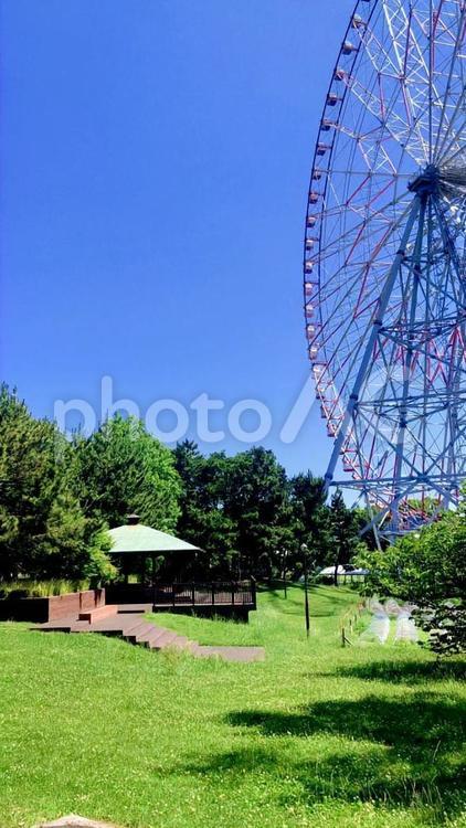 【葛西臨海公園】屋外休憩所と大観覧車 葛西臨海公園,観覧車,大観覧車の写真素材