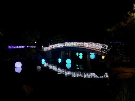 福井県紫式部公園　イルミネーション 紫式部公園,福井県,庭園の写真素材