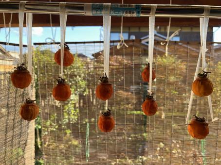 干し柿 干し柿,柿,柿色の写真素材