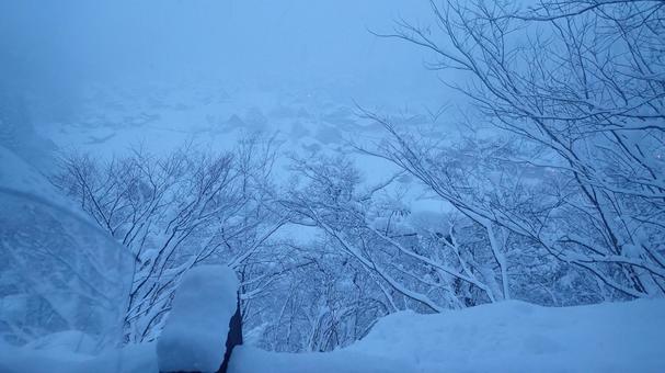 白川郷に伸ばす木の枝 展望,集落,ユネスコ世界遺産の写真素材