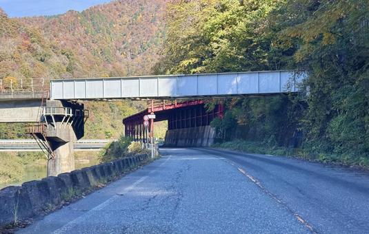 秋の山奥の道路　福井県大野市九頭竜川周辺 スノーシェッド,トンネル,道路の写真素材