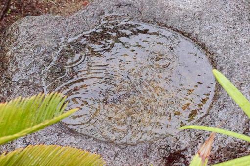 雨の手水鉢 手水鉢,手洗い,水瓶の写真素材