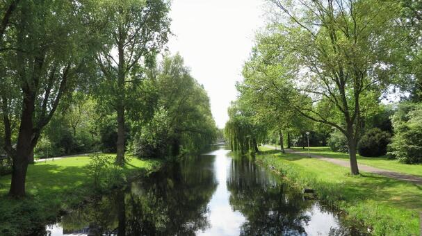 運河と緑 運河と緑の写真