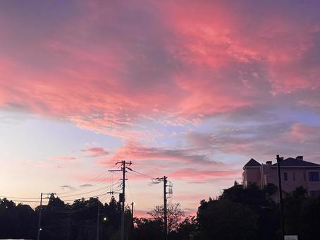 ピンク色の夕焼け ピンク色の夕焼け 夕焼け,夕暮れ,ピンク色の写真素材