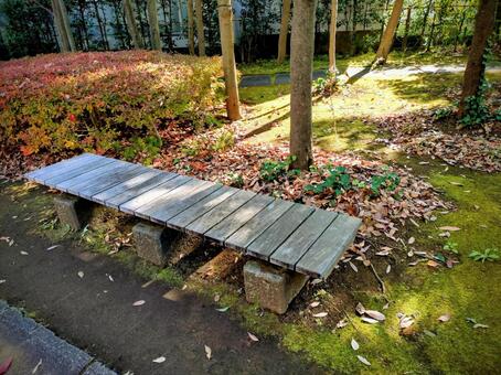 木漏れ日のベンチ ベンチ,自然,落ち葉の写真素材