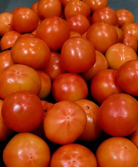 たくさんのトマト トマト,野菜,サラダの写真素材