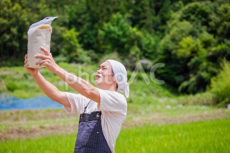 お米を持つ農家 農家,お米,農業の写真素材