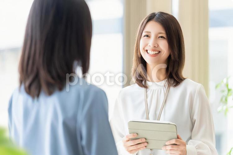 ミーティングをする2人のビジネスウーマン 女性,人物,ビジネスの写真素材