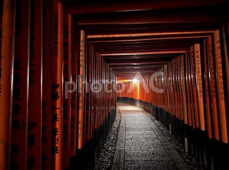 伏見稲荷 伏見稲荷,京都,寺社仏閣の写真素材