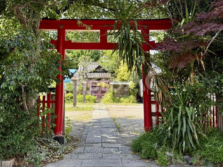 玉姫稲荷神社　裏手 神社,古びた,集落の写真素材