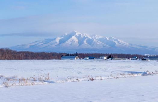 広大な雪原と冬の斜里岳 広大な雪原と冬の斜里岳の写真