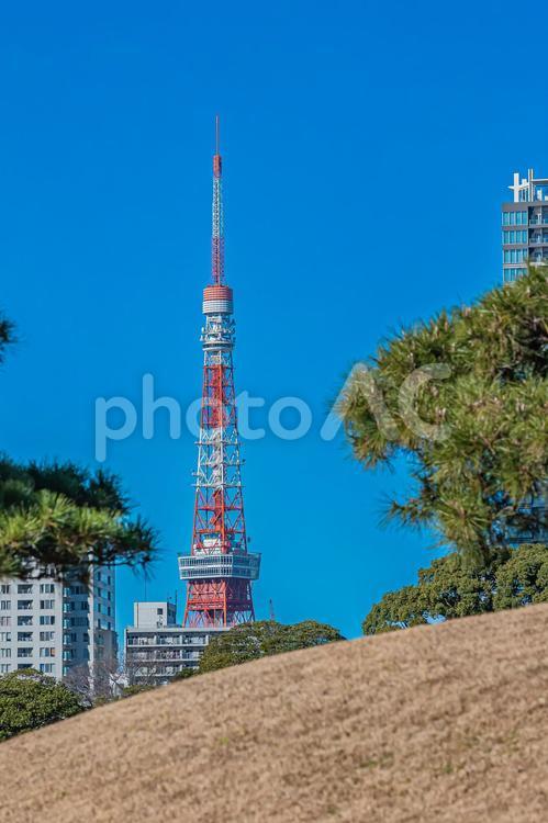 東京　浜離宮恩賜庭園の風景 東京,東京都,浜離宮恩賜庭園の写真素材