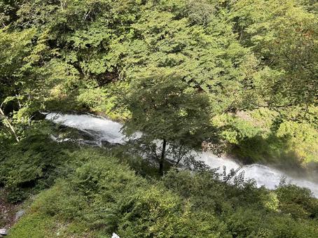 夏のもりにて 夏,自然,森の写真素材