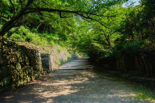 【和歌山】和歌山城 2025 【和歌山】和歌山城 2025の写真