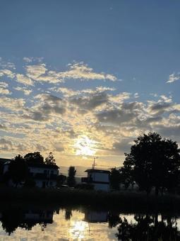 アサソラの写真