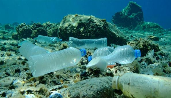 違法廃棄されたペットボトル 違法廃棄されたペットボトルの写真