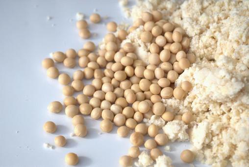 大豆とおから おから,食材,食べ物の写真素材