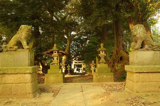 R296八千代市時平神社の参道(中→外) R296八千代市時平神社の参道(中→外)の写真