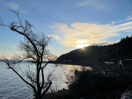 夕暮れの海辺とシルエットの木 夕暮れの海辺とシルエットの木 夕日,夕焼け,海の写真素材