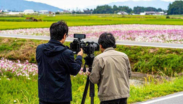 コスモス畑を撮影するテレビ局のスタッフの写真